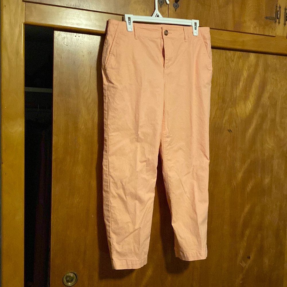 Peach loft Monroe ankle pants